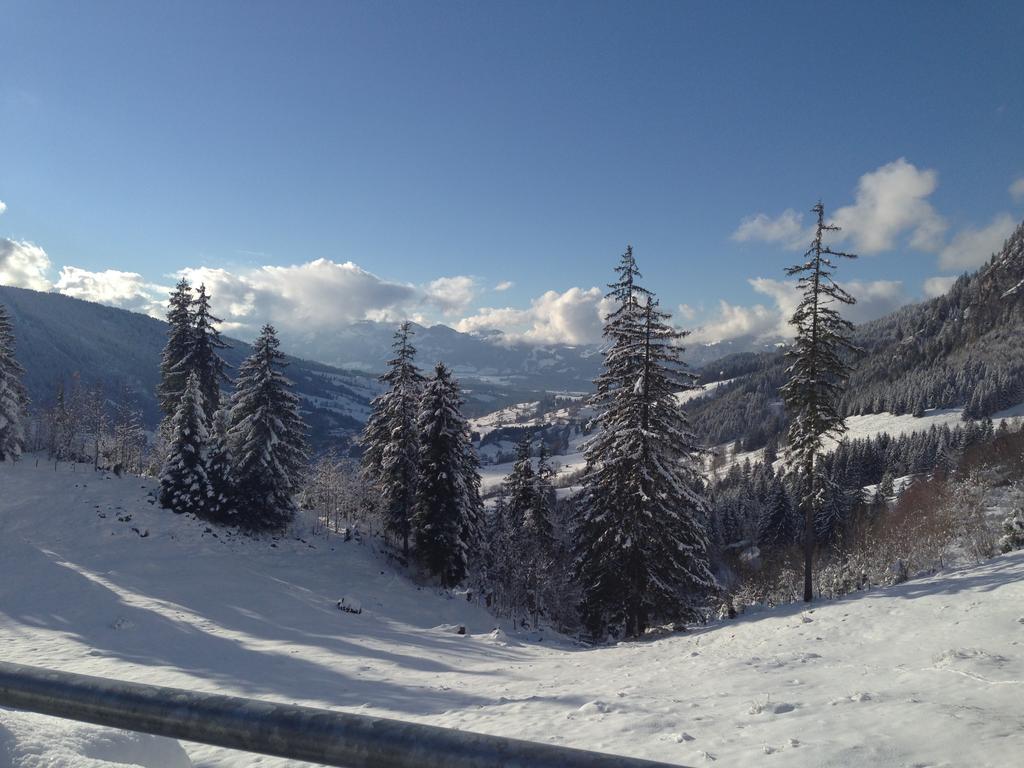 Bergquell Tirol Apartment Jungholz Bagian luar foto